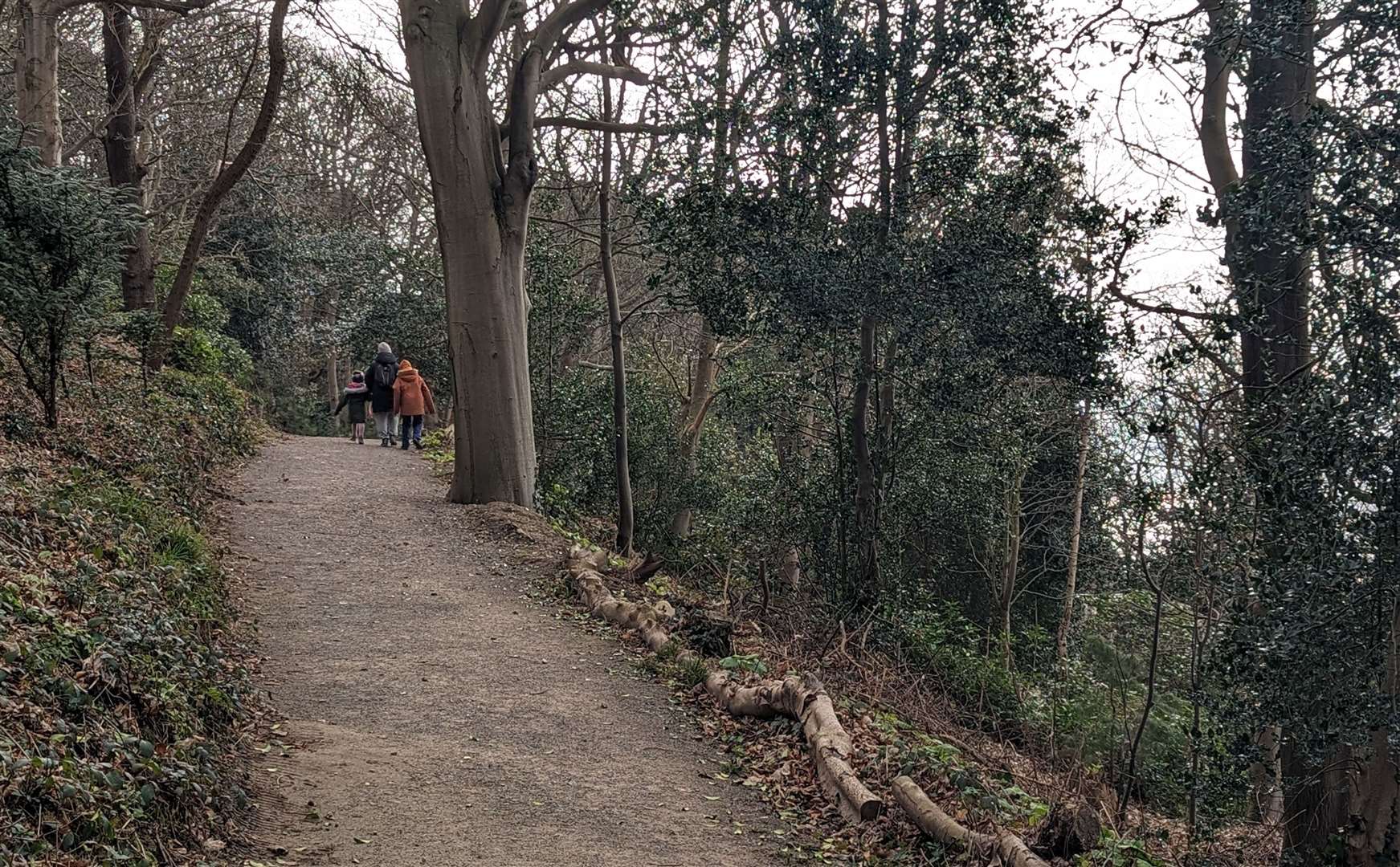 Locals use the park for dog walking