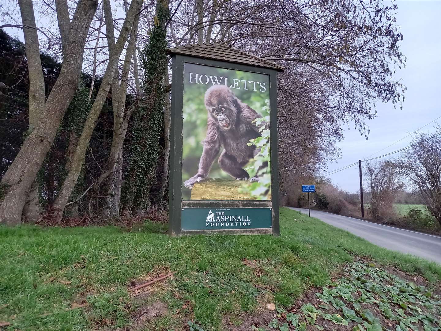 Howletts Wild Animal Park