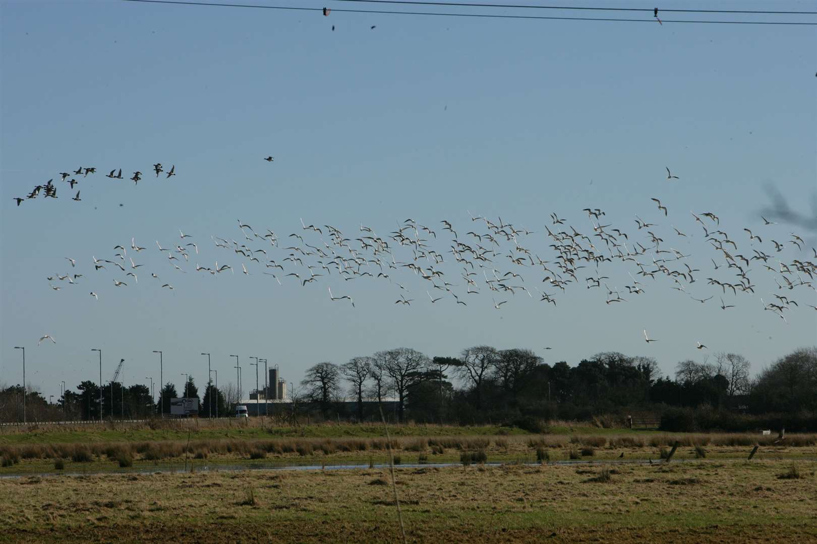 Monks Wall Nature Reserve, pictured in 2011, is now open to the public. Picture: Martin Apps