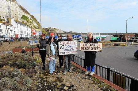 Protesters at Dover against live animal exports.