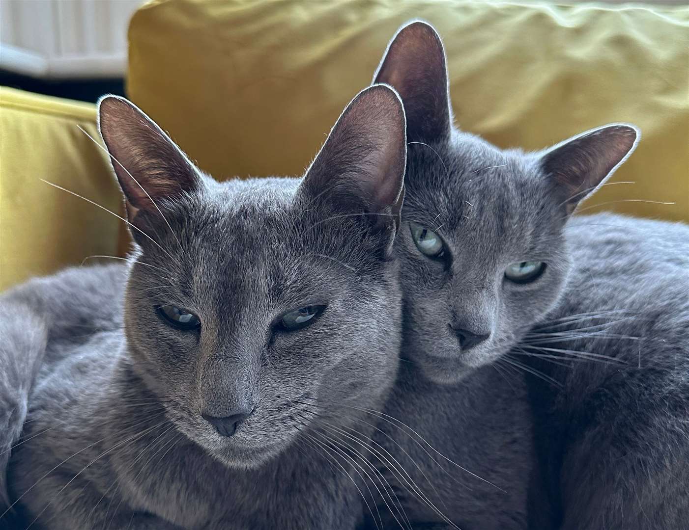 Arthur with his sister Florence at thier home in Ramsgate. Picture: Jo Rymill