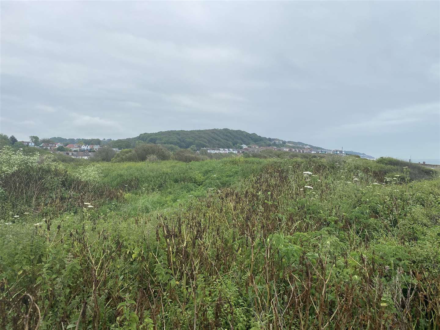 Homes and a hotel are planned for the coastal road