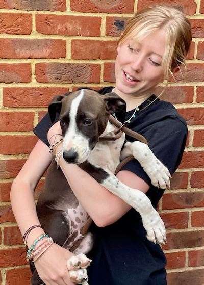 Annie Kittermaster with one of the three young lurcher types in need of a home