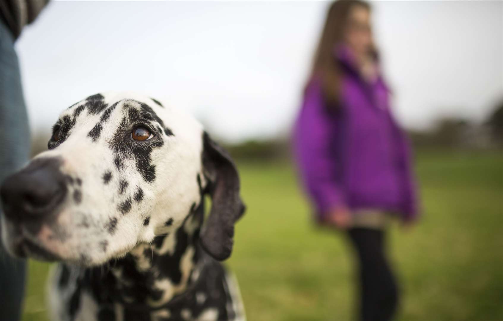 Take a winter walk with the National Trust Picture: Chris Lacey/National Trust