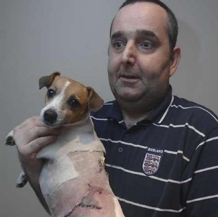 Poppy with her owner Stephen Dinnadge. Picture: CHRIS DAVEY