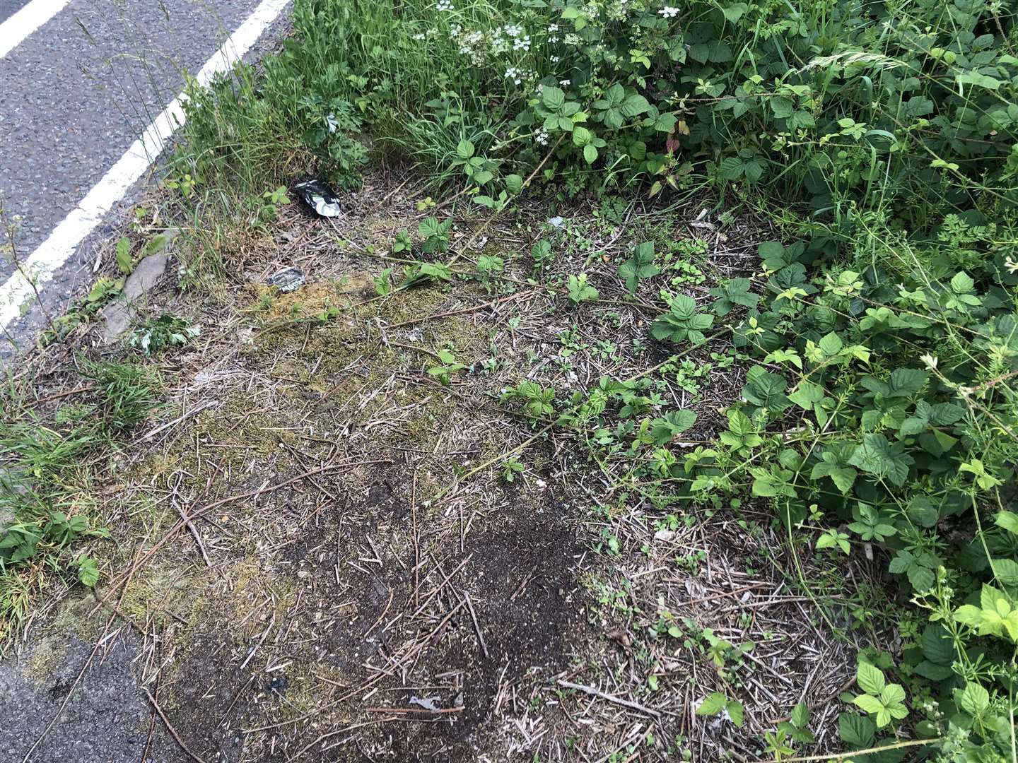 The pavement at one stop which Anna-Rose said is not suitable for wheelchairs or scooters