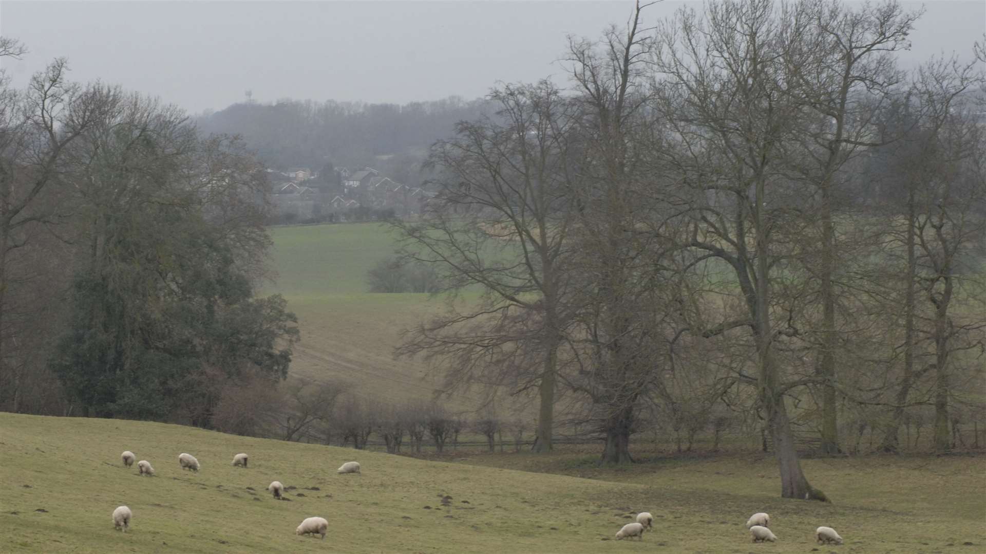 The proposed site for the Kent International Gateway development years ago. Picture: Grant Falvey