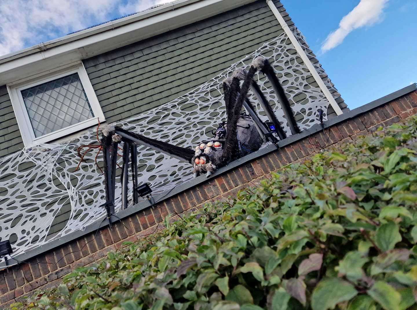 A ginormous spider has arrived at a house in Brompton Farm Road in Strood. Picture: Liesa Sidders