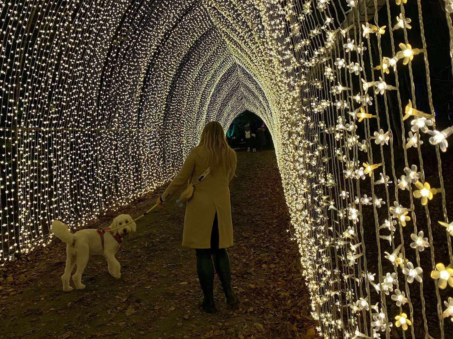 The Christmas Cathedral of light is popular amongst visitors