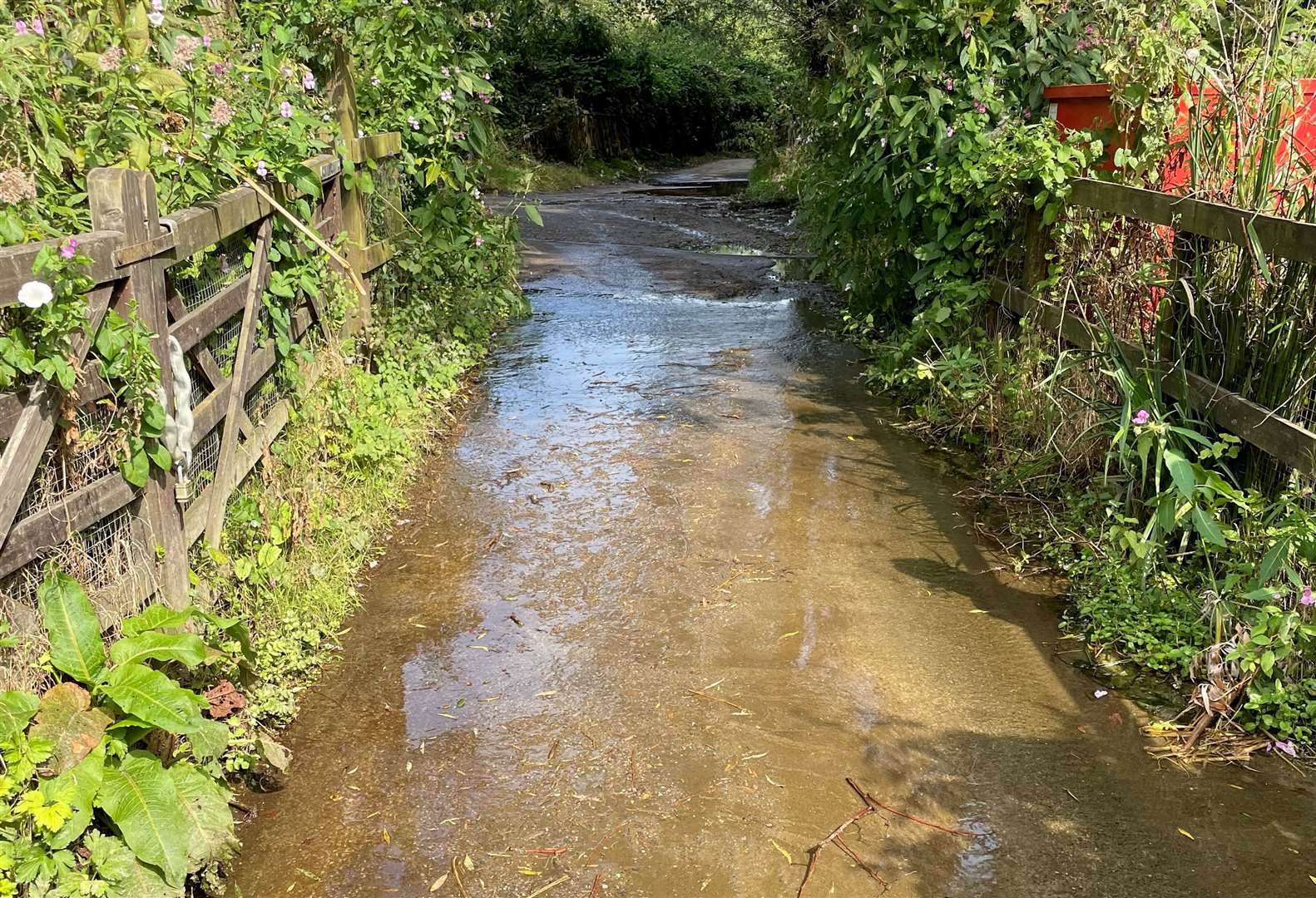 Flooding on the Medway towpath