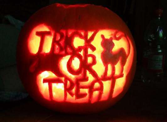 Lisa-Marie's pumpkin says it all!