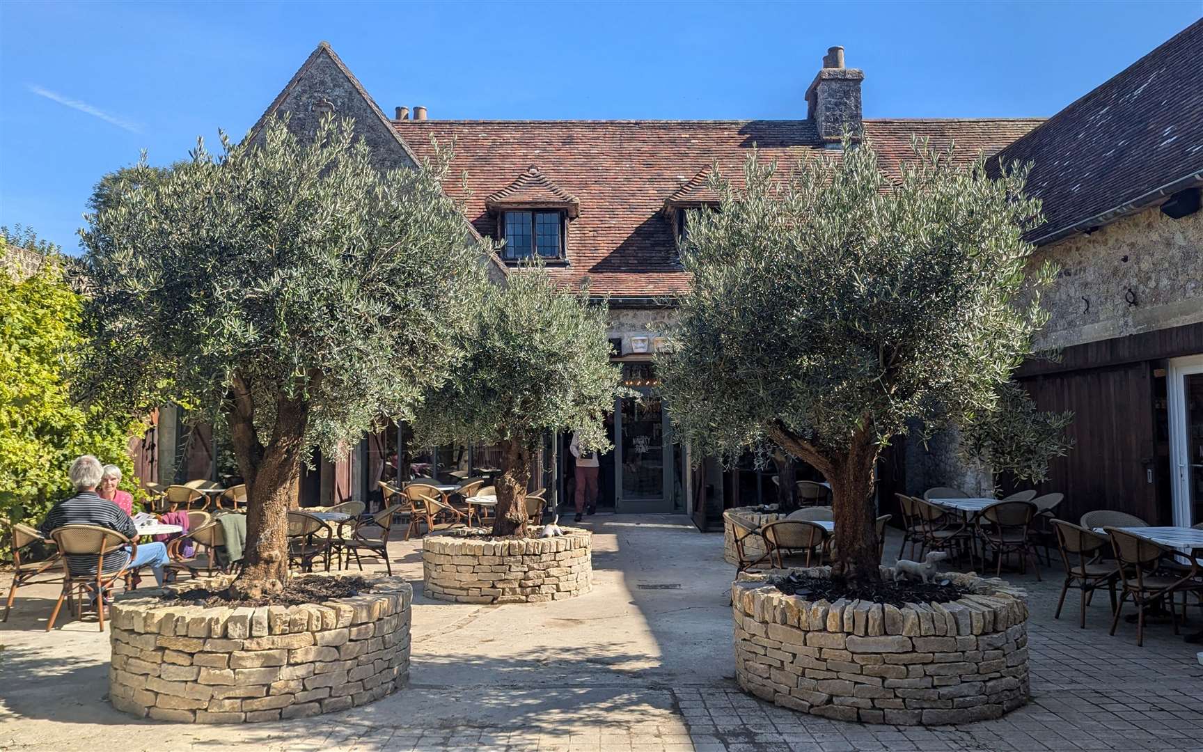 Entry to The Naughty Dog is through a delightful courtyard garden complete with olive trees