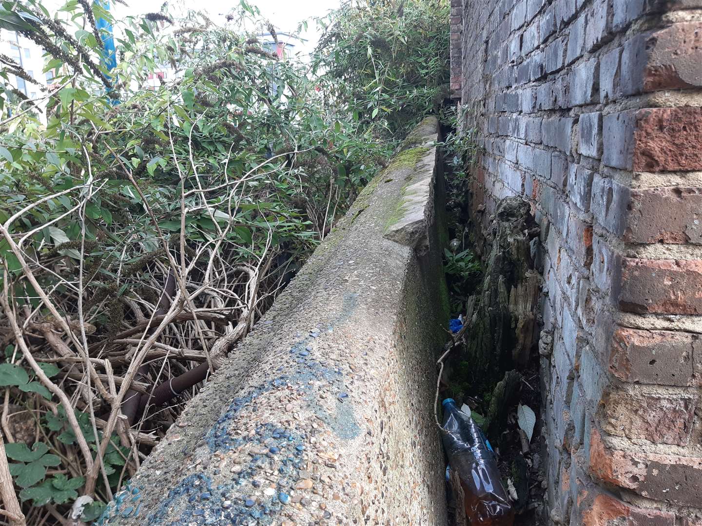 Behind the crumbing wall in Pier Road, Gillingham, taken last year