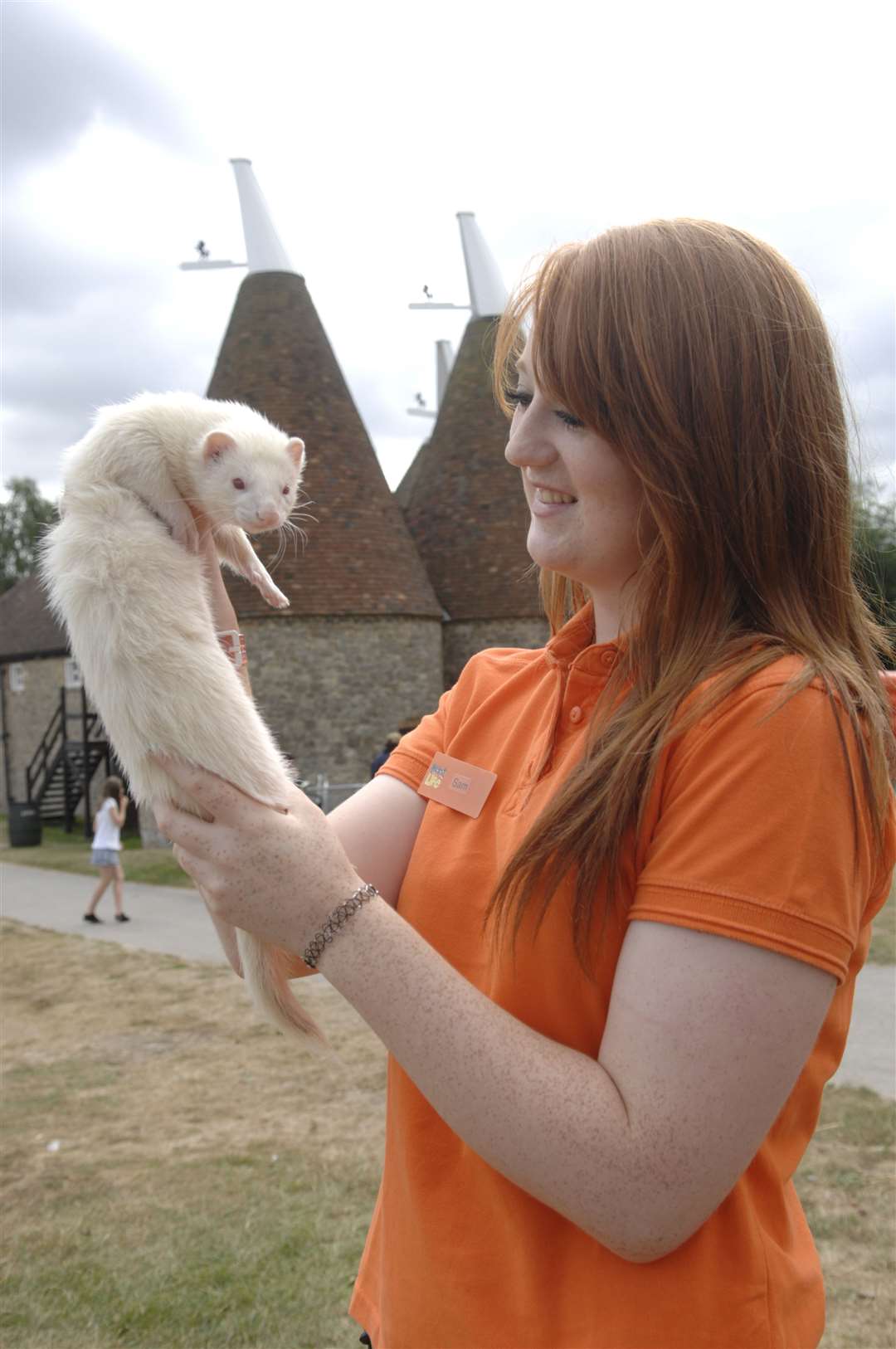 See ferrets at Kent Life Picture: Matthew Walker