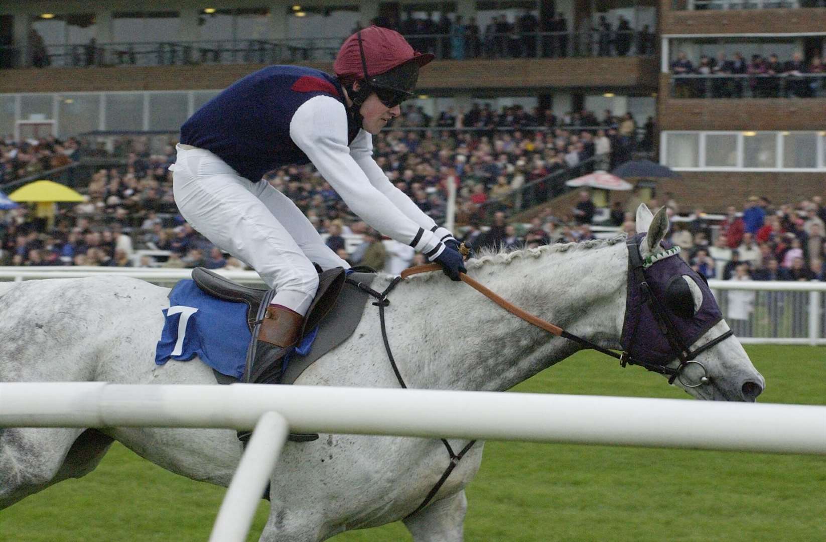 One of the runners from the Tiger Inn Novices' Hunters' Steeplechase passes the main stand in 2003