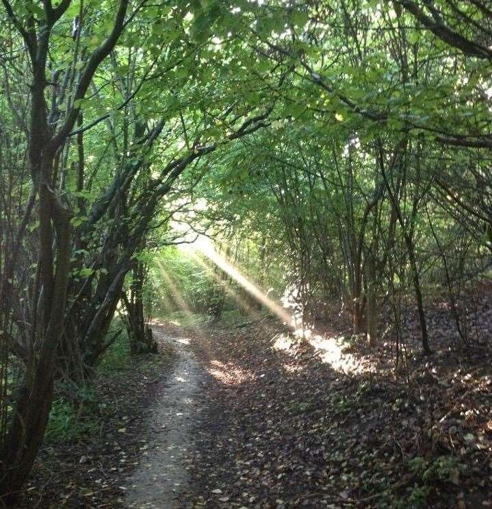 Is there light at the end of the tunnel for Neil? Picture by Chris Hunter