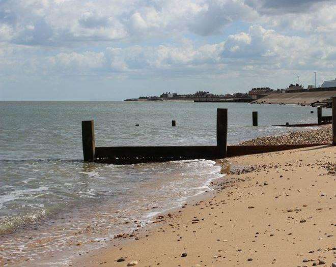 The dog was found close to Barton's Point Coastal Park. Stock picture