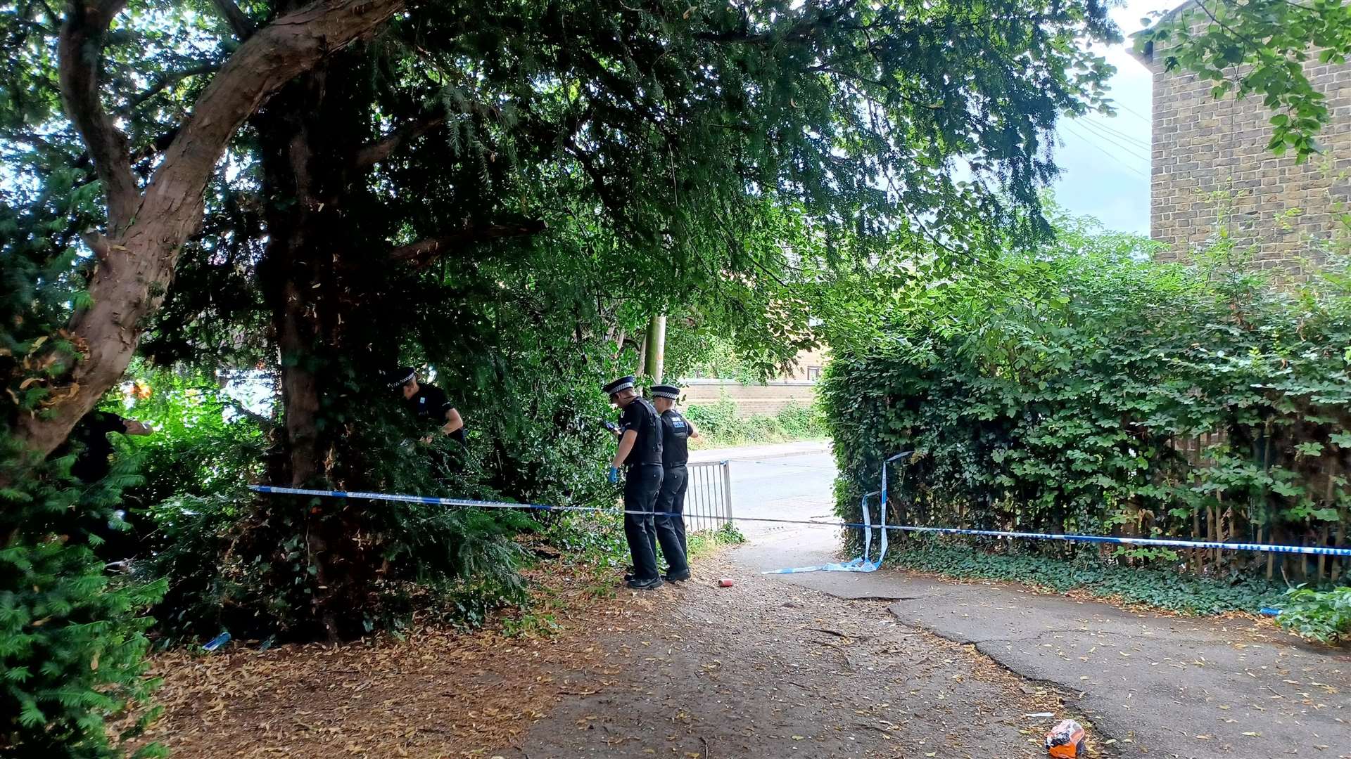 Police have been pictured searching in bushes by Regis Manor Primary