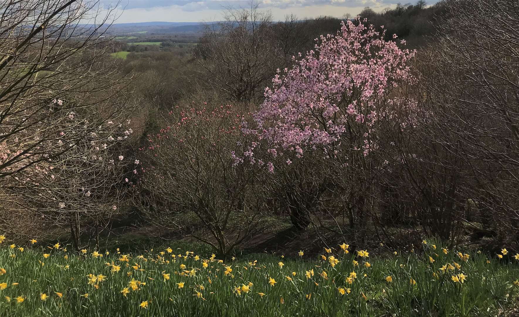 Explore Emmetts Garden with the dinosaur trail and admire beautiful views over the Kent countryside. Picture: ©National Trust / Catherine Laws