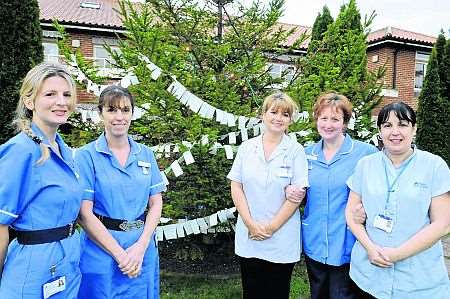 Hospice Tree of Love