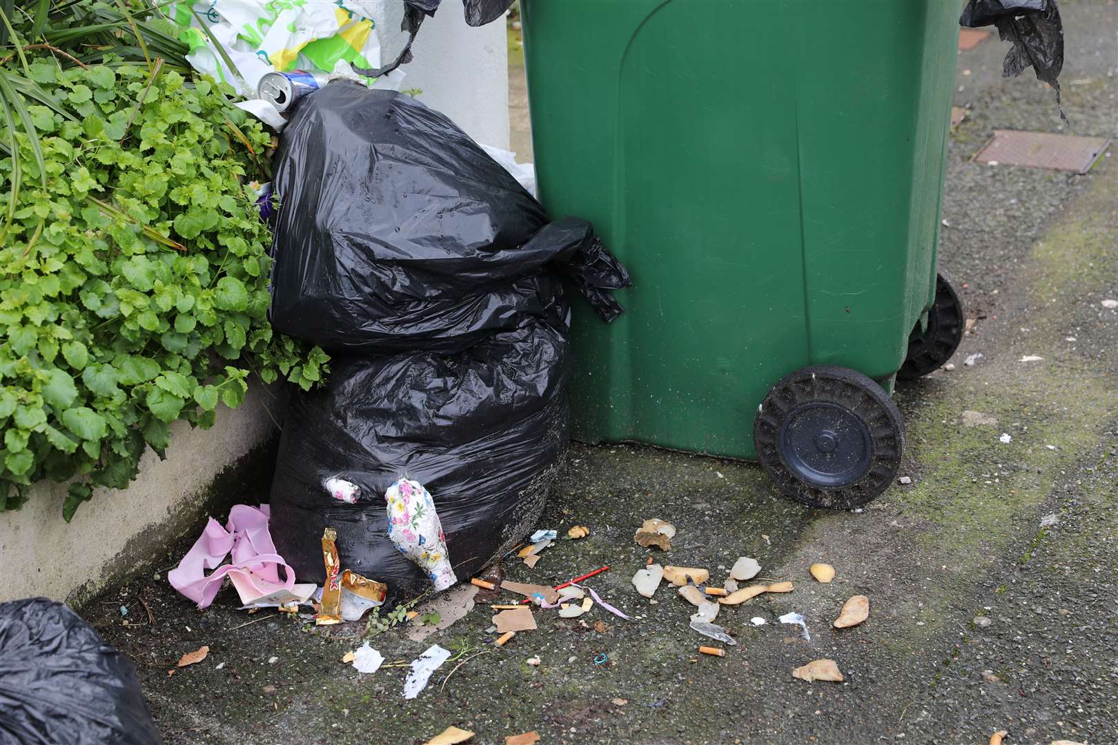 Split bin bags in Coolinge Road. Picture: Andy Jones