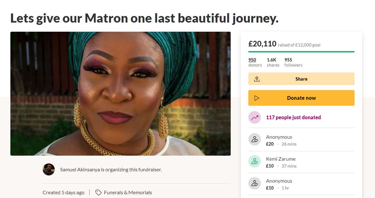 The GoFundMe page for Esther Akinsanya (GoFundMe/Screengrab)