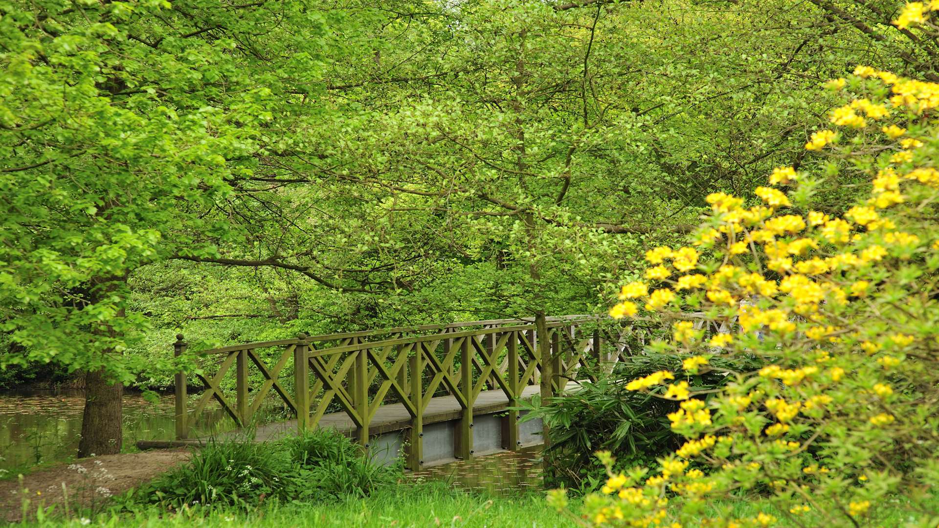 Take time to reflect at Chiddingstone