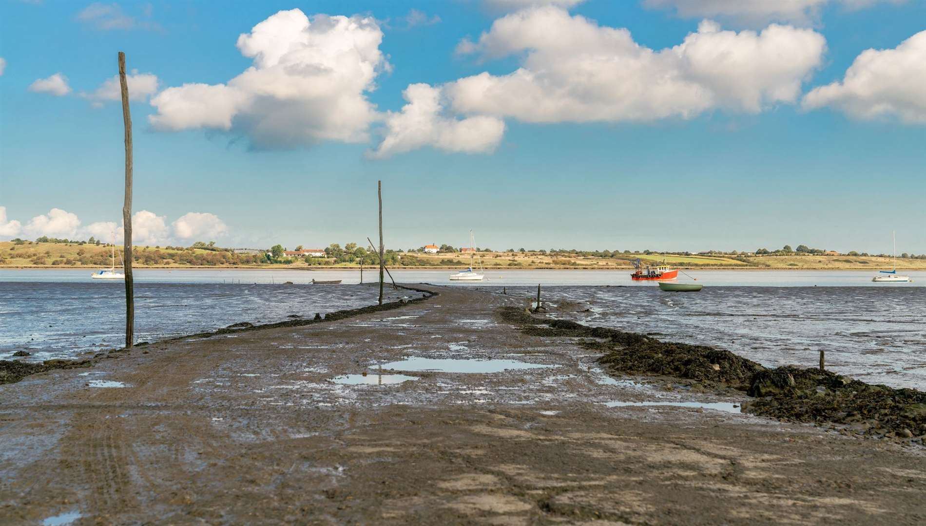 The Oare Marshes has open water scrapes, a reedbed, saltmarshes and one of the few grazing marshes left in Kent