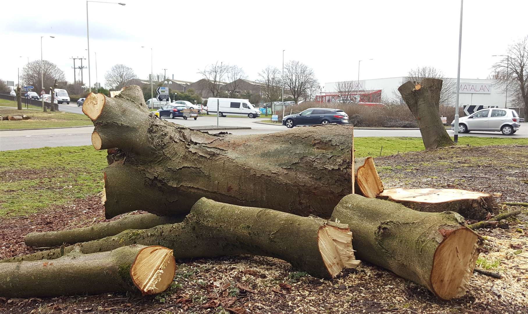 Trees were cut down in Chart Road in 2018