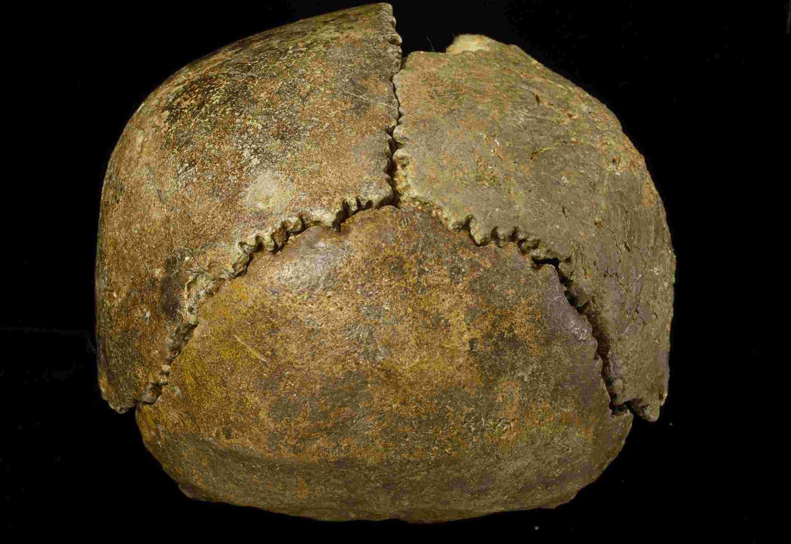 The Swanscombe Skull found at Barnfield Pit. Picture: The Natural History Museum