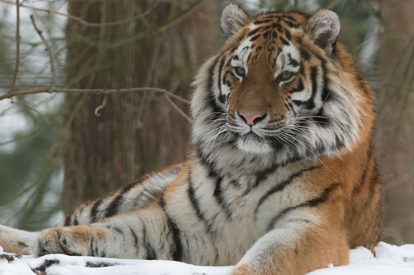 Port Lympne was one of the attractions which opened its doors for the Kent Big Weekend