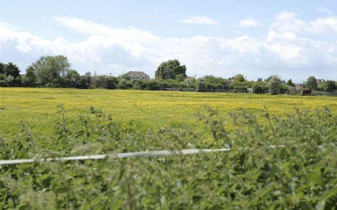 Bodkin Farm in Chestfield could be transformed into a 300-home estate with a care home and secondary school