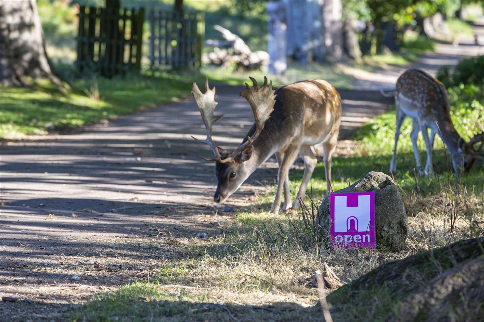 Heritage Open Days at Knole Picture: Heritage Open Days/Chris Lacey