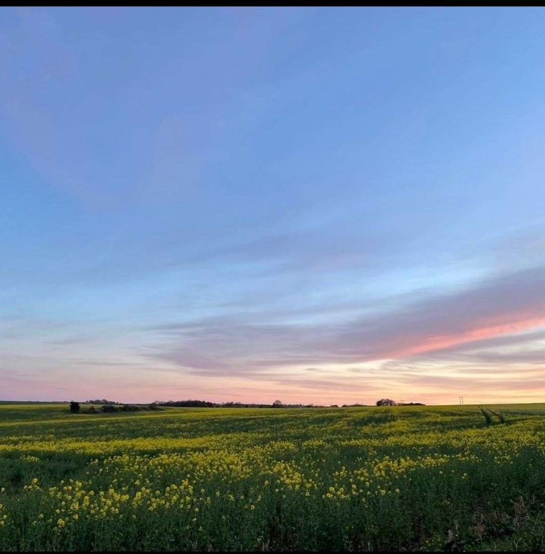 The proposed field for the airstrip. Picture Chocks Go Away (46326990)