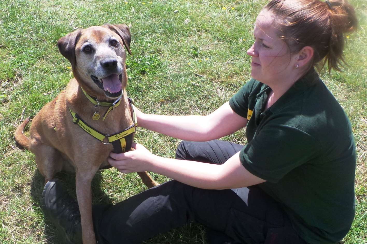 He is has been in a rescue centre for six months