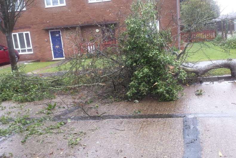 a mini-tornado caused this damage in Leander Road, Rochester.