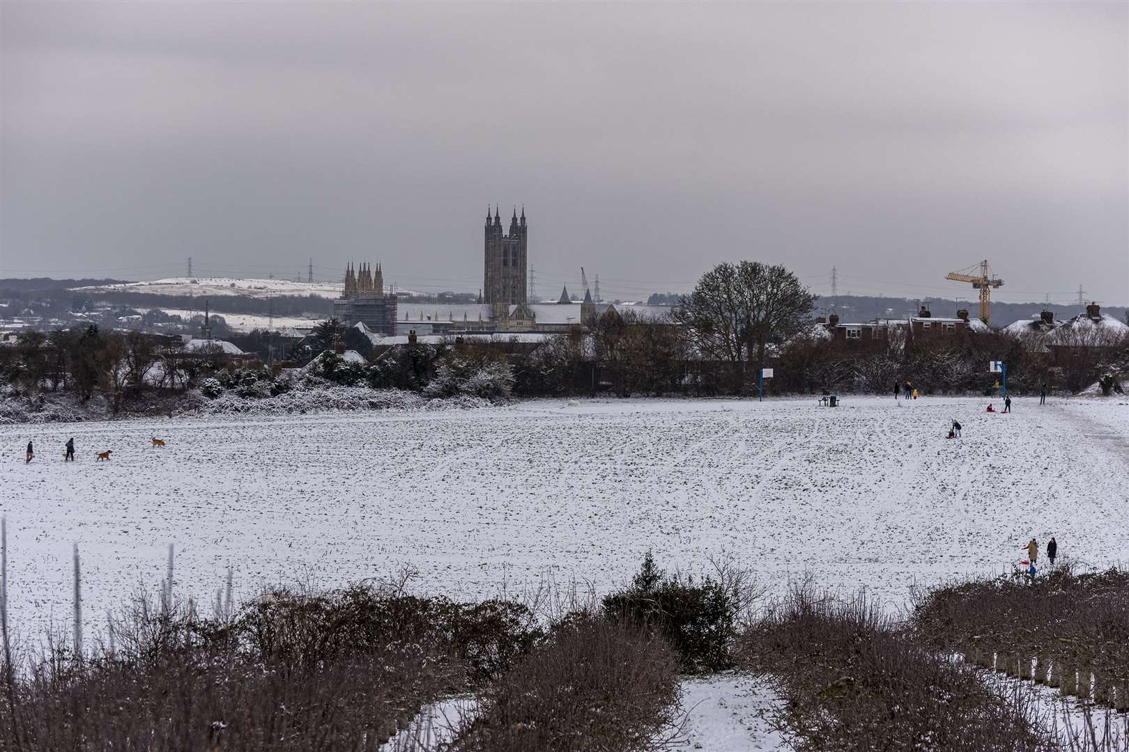 The incident happened in the middle of the snow storm in February. Picture from Wincheap Orchards taken by Jo Court.