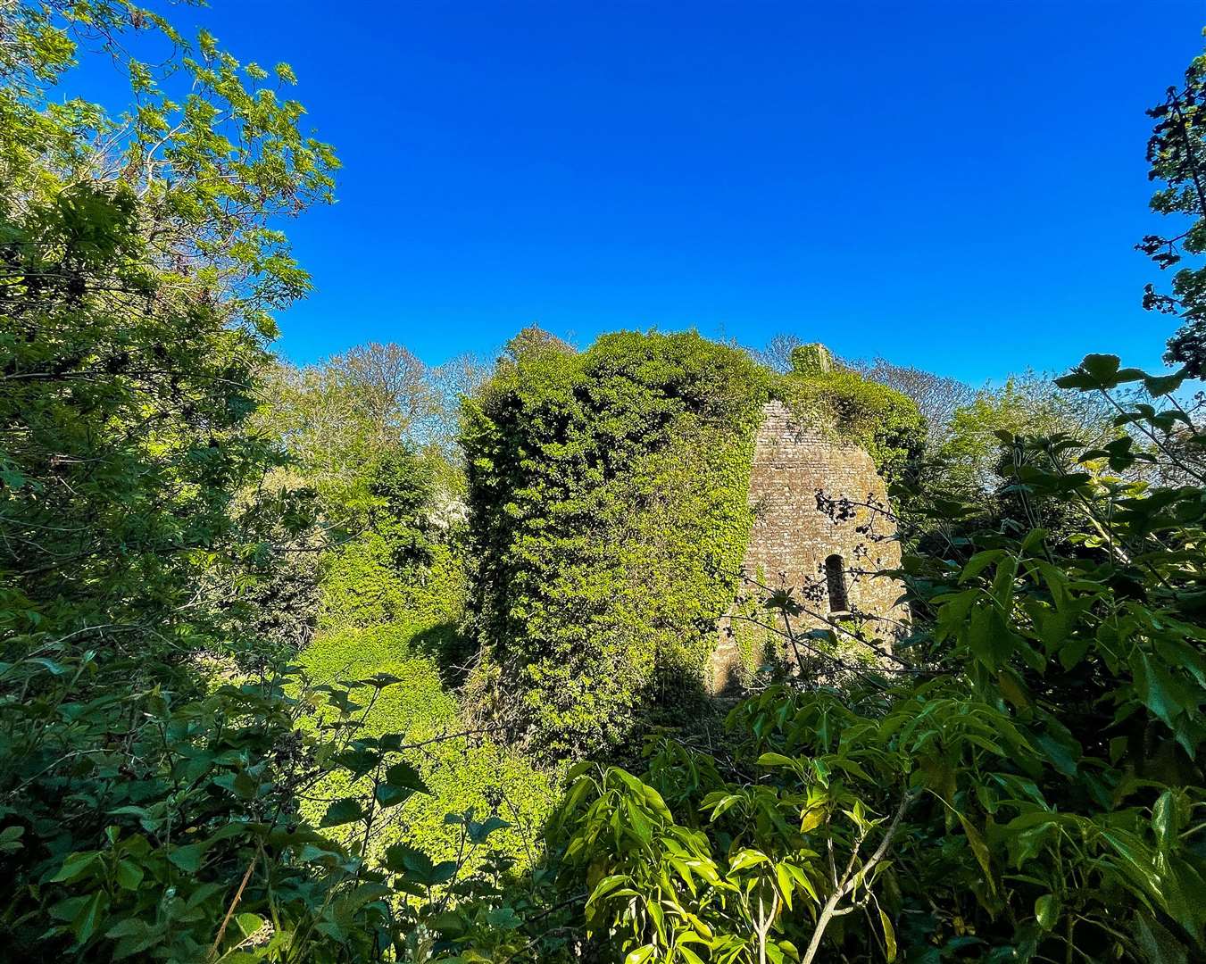 Sandgate ivy covered tower