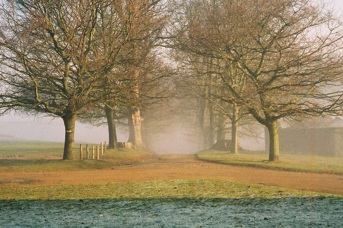 Knole Park. Picture: National Trust, Jonathan Sargent