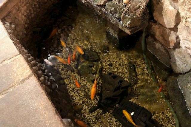 I found this water feature at the far right-hand side inside the Old Rectory and the fish seemed perfectly happy to be here