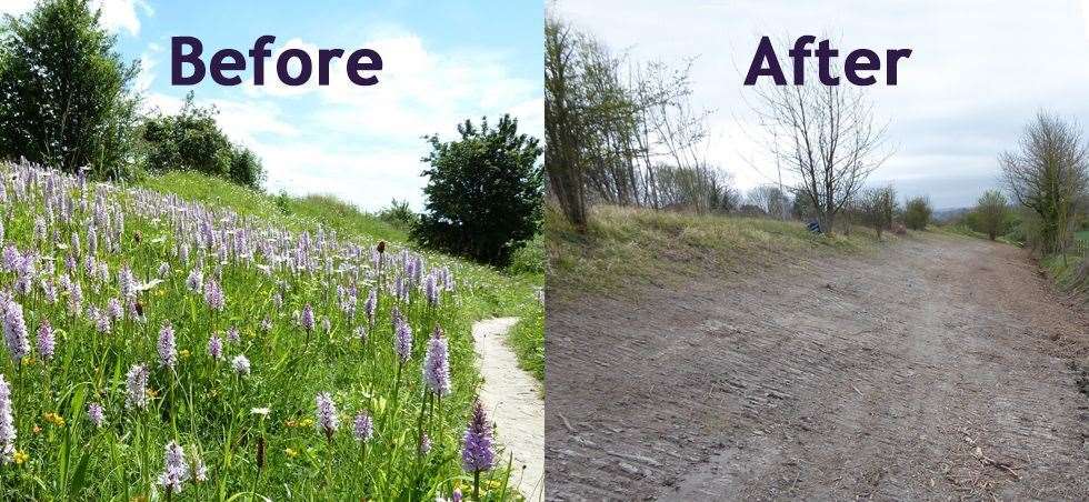 British conservation charity Plantlife posted pictures of Blue Bell Hill Reserve before and after the ditch was made (8592567)