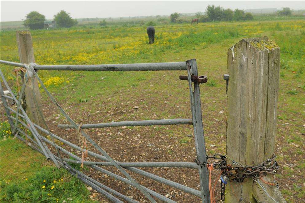 A damaged gate in Mark Lane