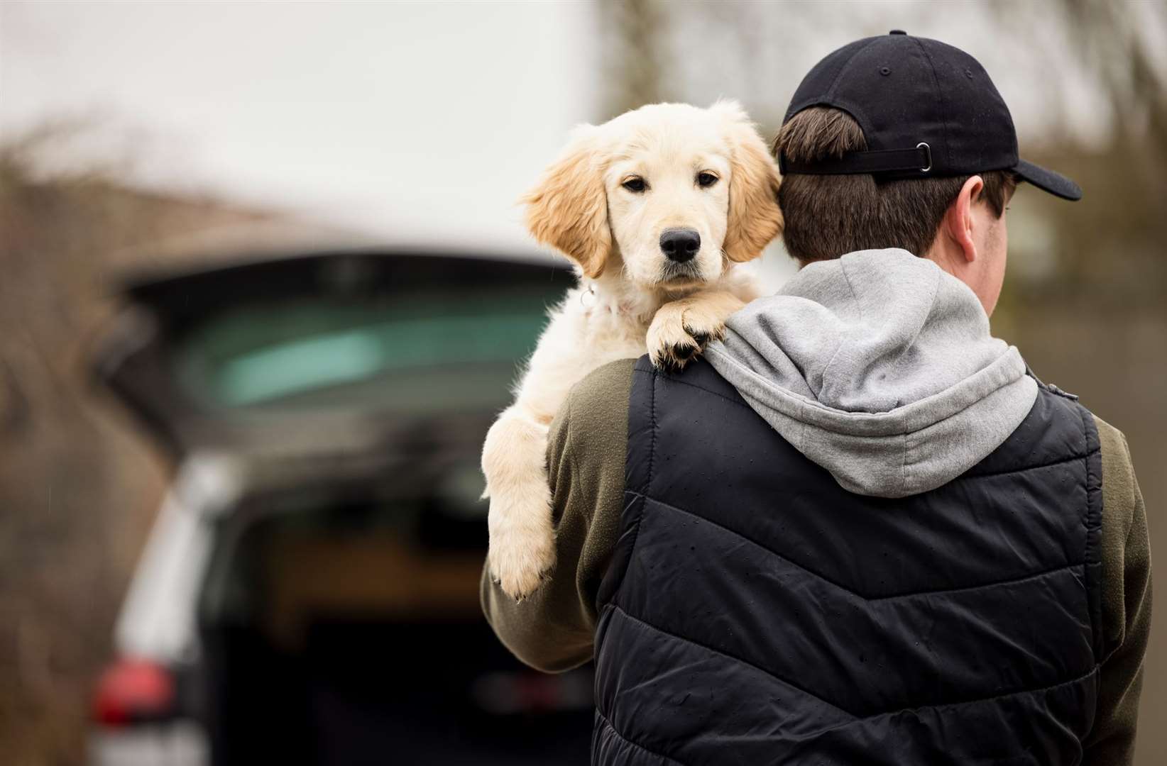 Buying animals over the internet gives fraudsters further opportunities to scam potential owners, says The Kennel Club