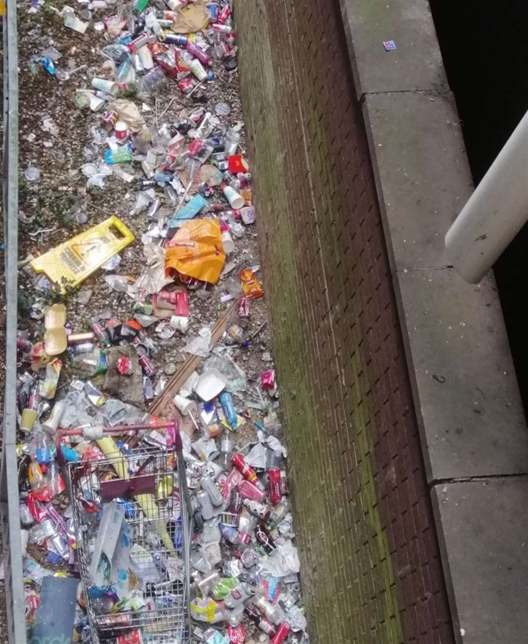 The floor is filled with shopping bags, plastic bottles, face masks and more