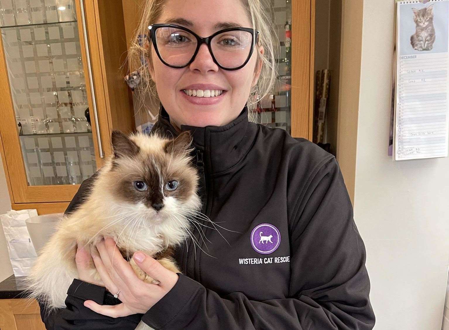 Tootsie with Wisteria Cat Rescue volunteer Molly