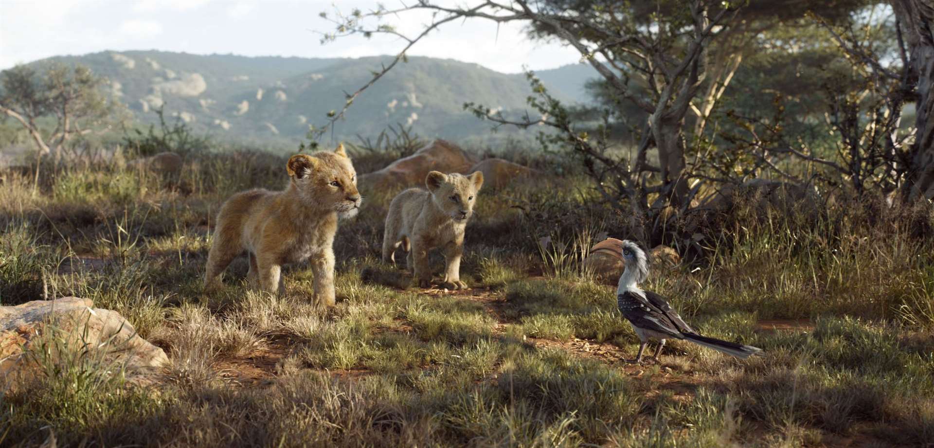 Young Simba (voiced by JD McCrary), young Nala (Shahadi Wright Joseph) and Zazu (John Oliver) Picture: Disney Enterprises, Inc