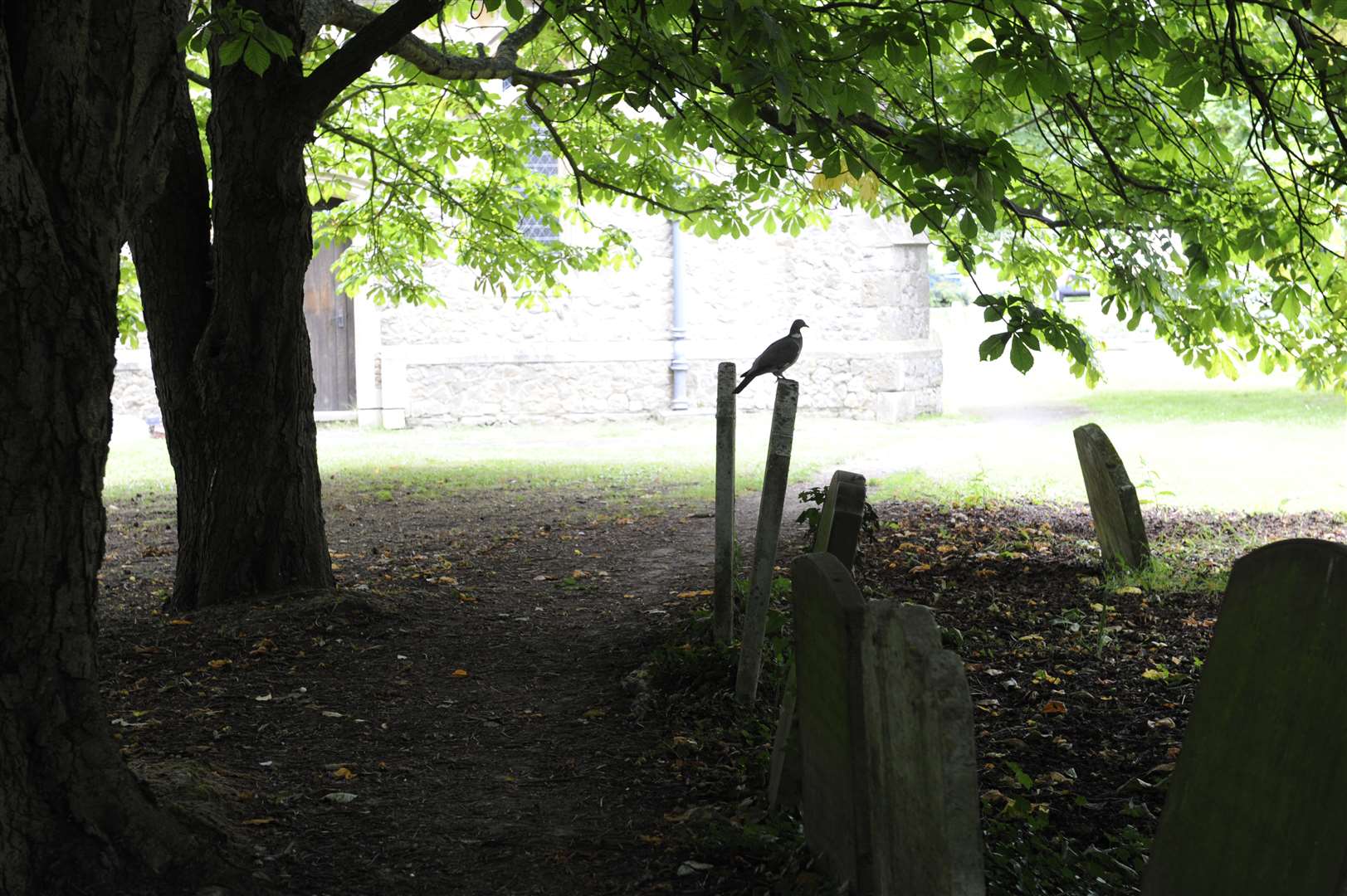 All Saints churchyard, Whitstable. Picture: Tony Flashman