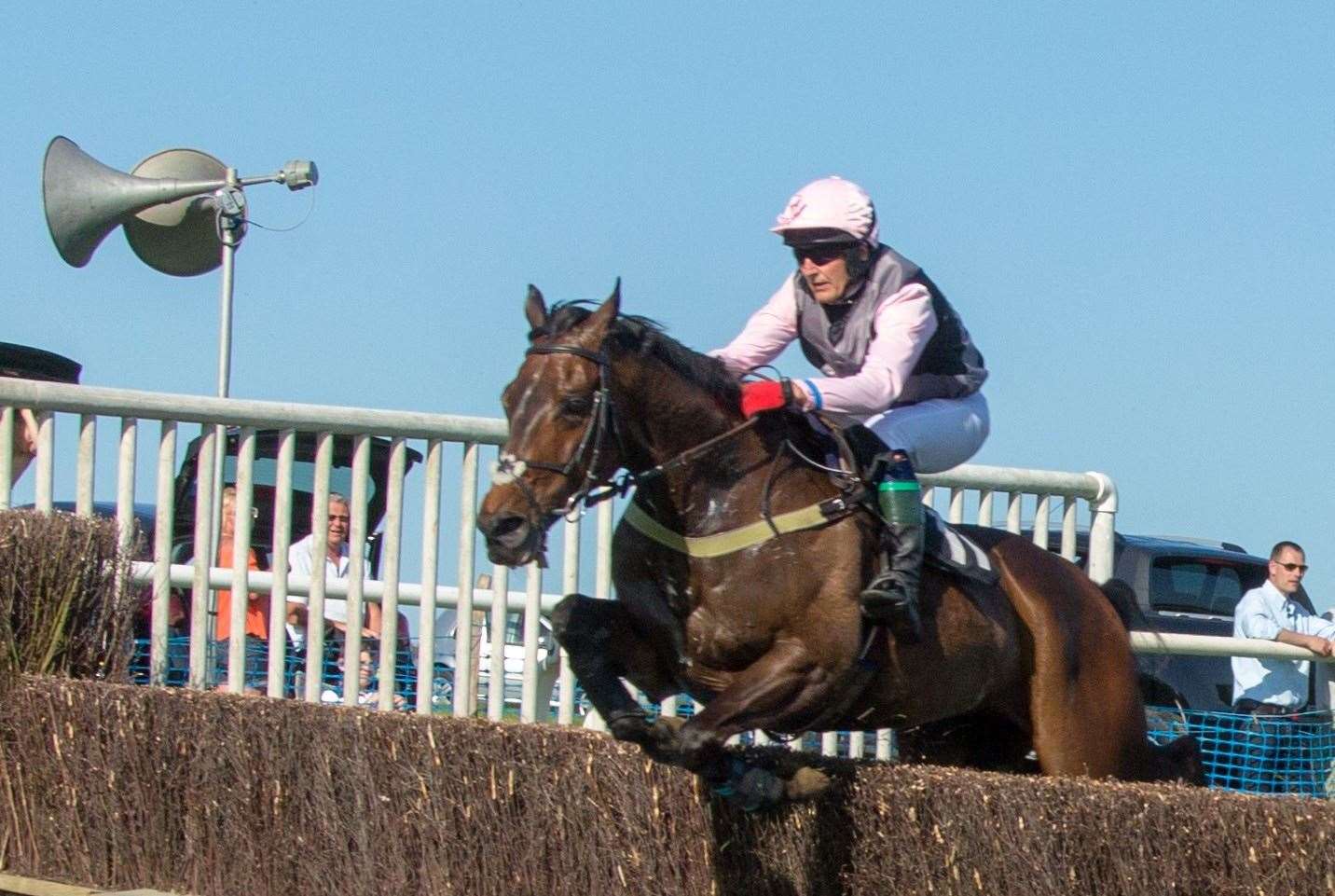 Aldington Point to Point Picture: Nick Onslow