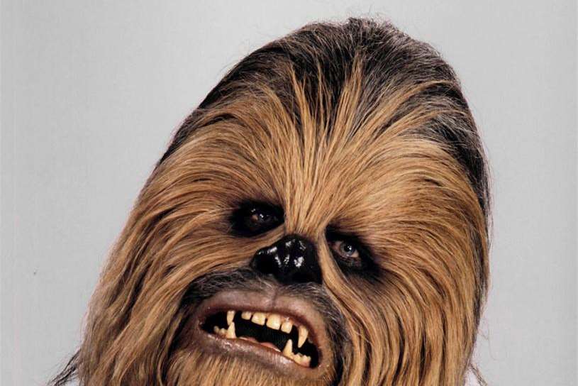 Chewbacca: part walrus, part lion, part camel, part bear, part rabbit, pat tiger and part badger