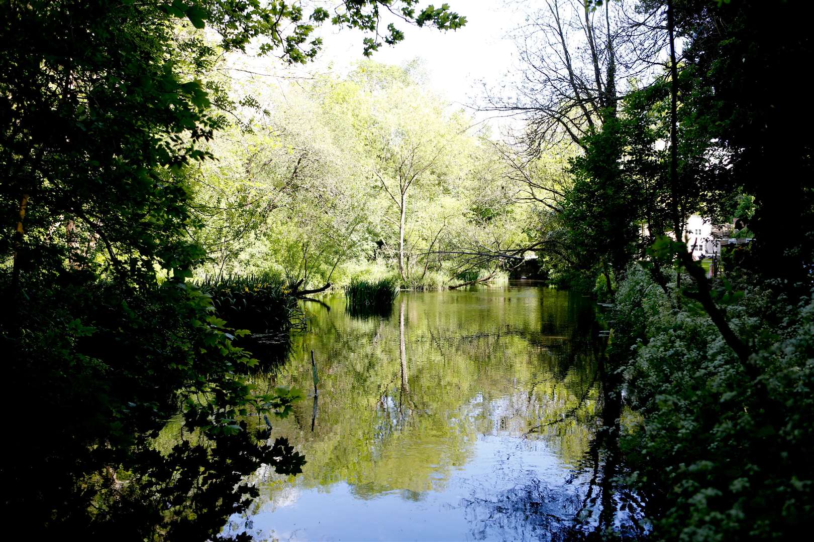 Loose Valley Conservation Area. Picture: Matthew Walker